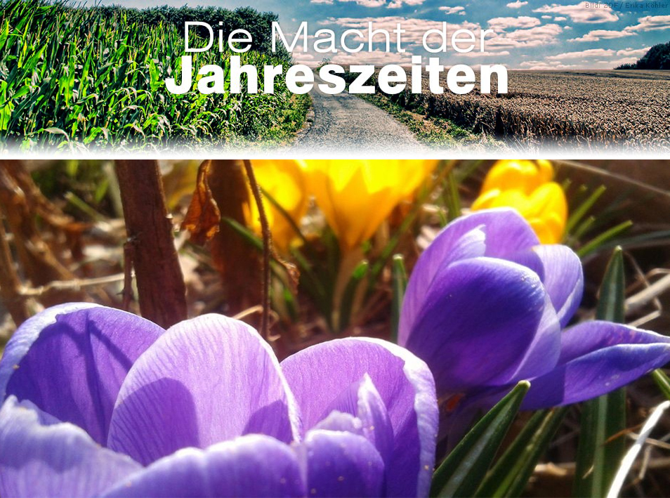 ZDF Die Macht der Jahreszeiten 四季的力量